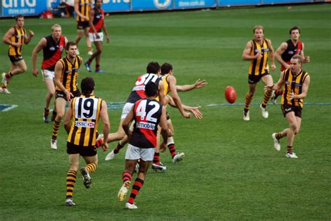 footy scores